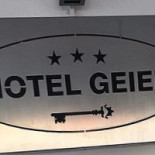 Geier logo