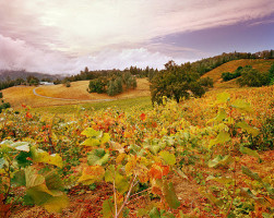 Borgo Dei Sapori Di Irene Cencig Agriturismo E Vino Biologico outside