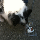 Roffry Pizza Outside