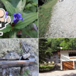 Val Vertova Roset Boisson