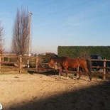 Hostaria Cascina Mascazza