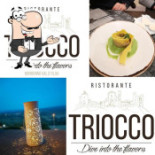 Triocco Logo
