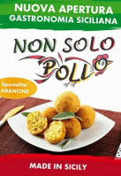 Non Solo Pollo logo