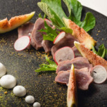 T_imo Cibo