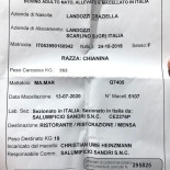 Macelleria Testi Carta