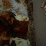 Giulia Comida