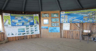 Trattoria FilÙ outside