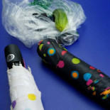 Pizzeria Flora drink