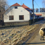 Hostinec U Holáňů
