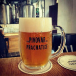Pivovar Prachatice Minuman