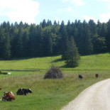 Trattoria Da Maria Extérieur