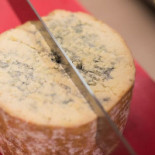 Consorzio Nourriture