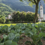 Locanda Solagna Exterior