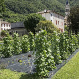 Locanda Solagna Exterior