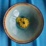 Terra Boisson