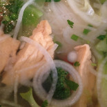 Green Gallery Comida