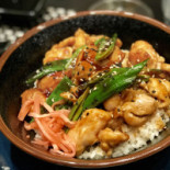 Junsei Cibo