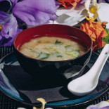 Junsei Comida