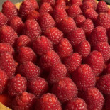 Ramerino Bio Nourriture