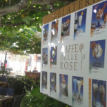 Caffè Delle Rose Carta