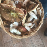 Lampino Bebida
