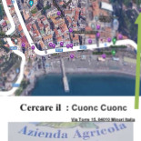 Cuonc Cuonc Carte