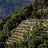 La Brinca Extérieur