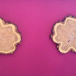 Rosa Logo