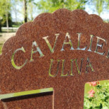 Cavalier Uliva Comida