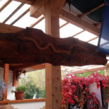 Pizzeria La Giara Extérieur