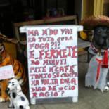 Maxi Bebida