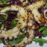 Fresco Fish Nourriture