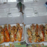 Non So Comida