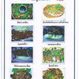 La Vite Carte