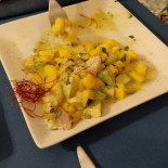 Racuda Fish