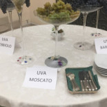 Il Circolo Extérieur