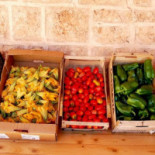 Masseria Galatea Agriturismo food
