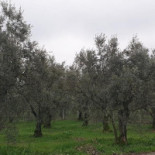 Lalimentari Extérieur
