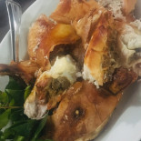Serial Griller Comida