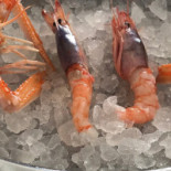 Degustabono Comida