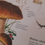 Le Roscelle Boisson