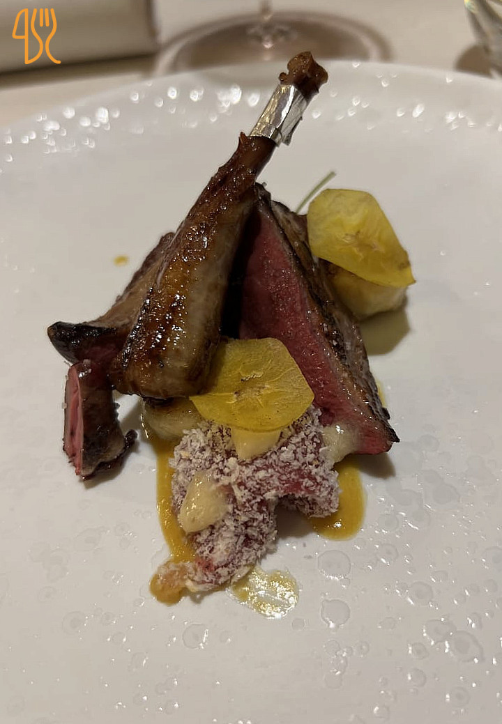 Opera Comida