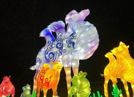 CaffÈ Degli Artisti drink