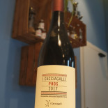 Versi Ribelli Boisson
