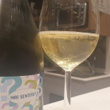 Versi Ribelli Boisson
