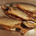 Opera Comida