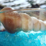 Agua De Mar Boisson