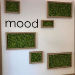 Mood Fiuggi Inside