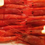 Toccoferro Comida