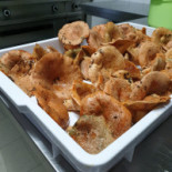 La Fenice Nourriture